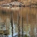 Beaver Lodge and reflections by radiogirl