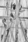 20th May 2017 - Up The Rigging