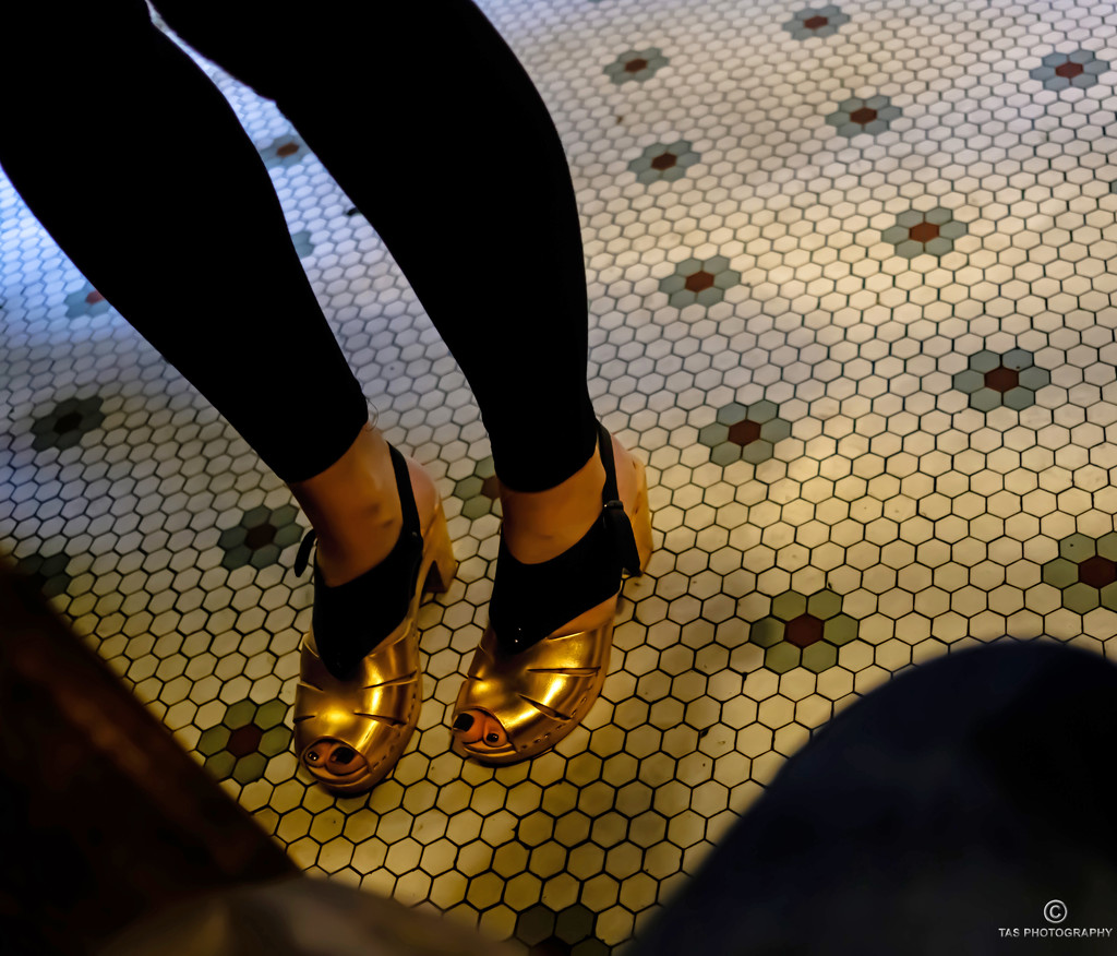 She Wore Golden Shoes by tosee