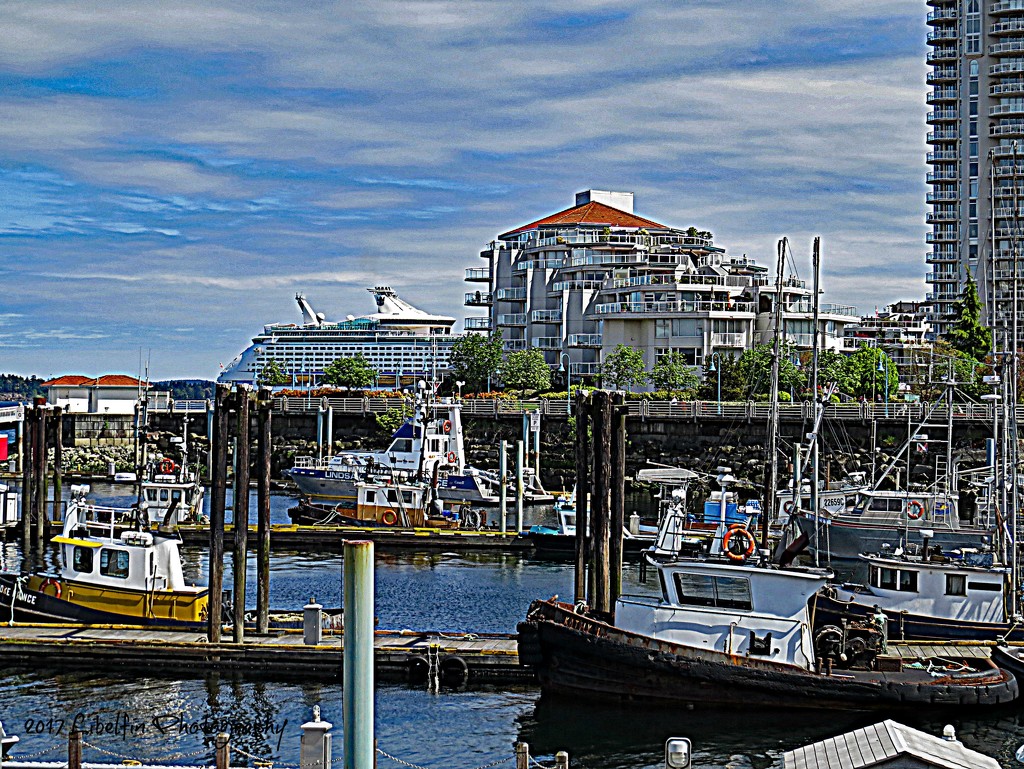 Port of Nanaimo, B.C. by kathyo