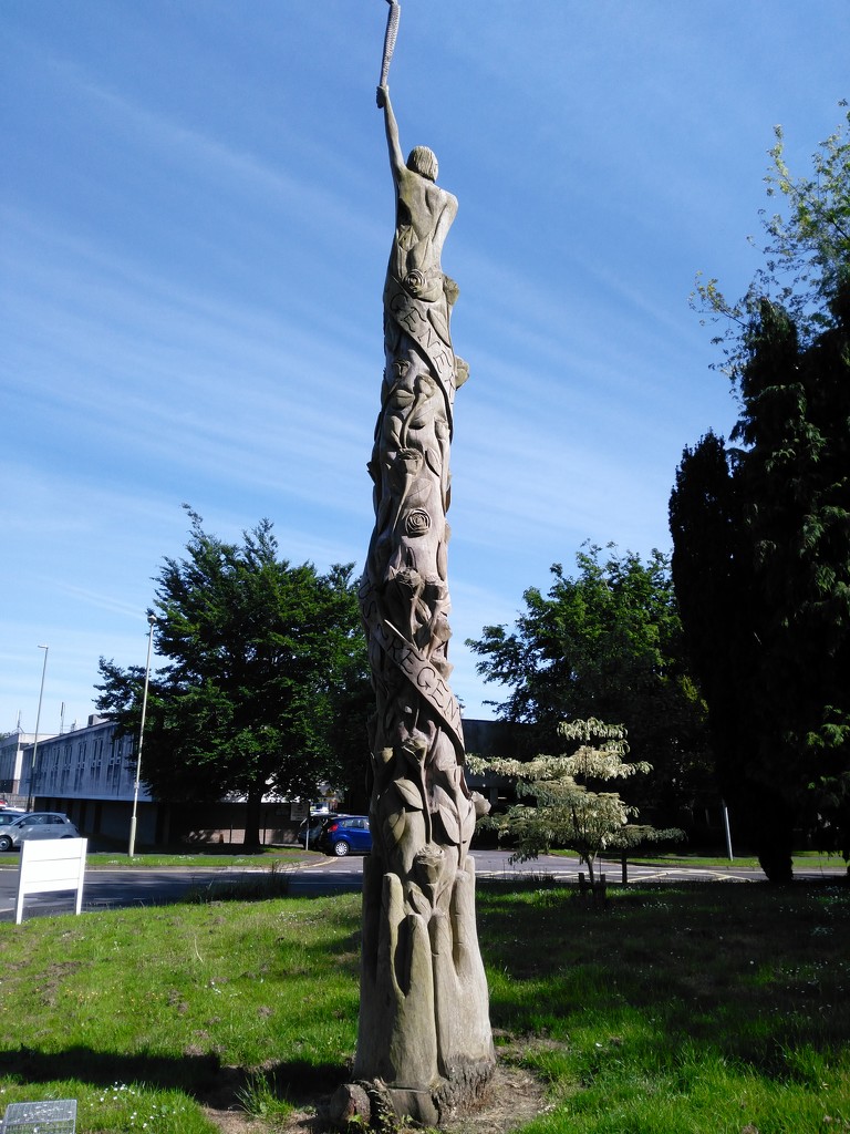 Tree carving by jmdspeedy