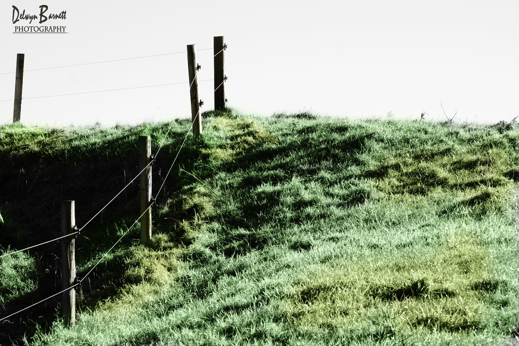 The fence line by dkbarnett