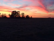 21st May 2017 - Sunset on the Ranch
