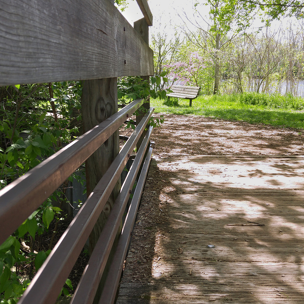 Bridge and Path: halfandhalf by houser934