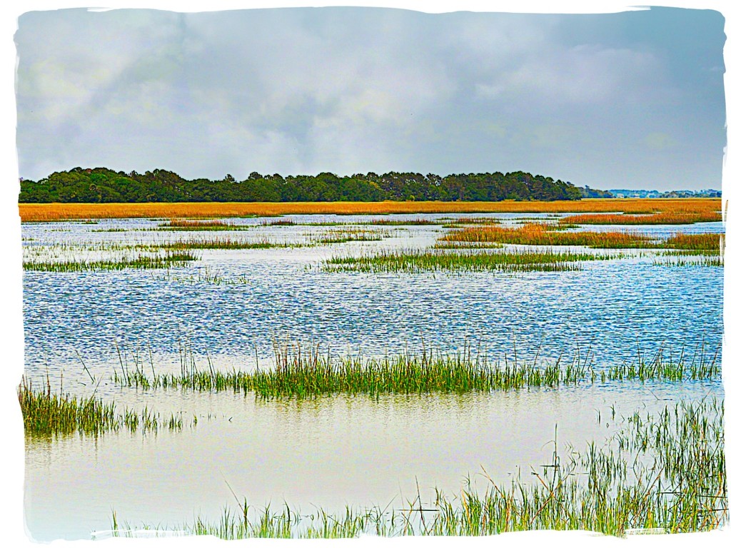 Marsh View on Edisto Island, SC by peggysirk