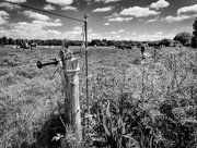 23rd May 2017 - PLAY May Sony 16mm f/2.8: Occasional Fencepost 20