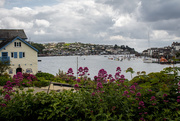 23rd May 2017 - View from Bodinnick