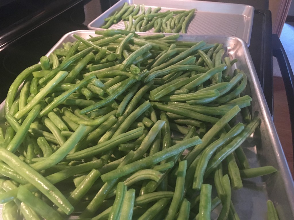 IMG_0945 Green beans for an army by pennyrae