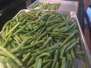 21st May 2017 - IMG_0945 Green beans for an army