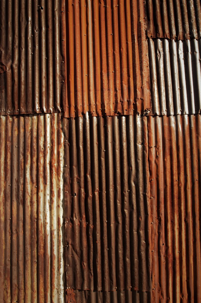 Shades of Rust by radiogirl