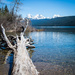 McDonald Lake in Glacier National Park by 365karly1