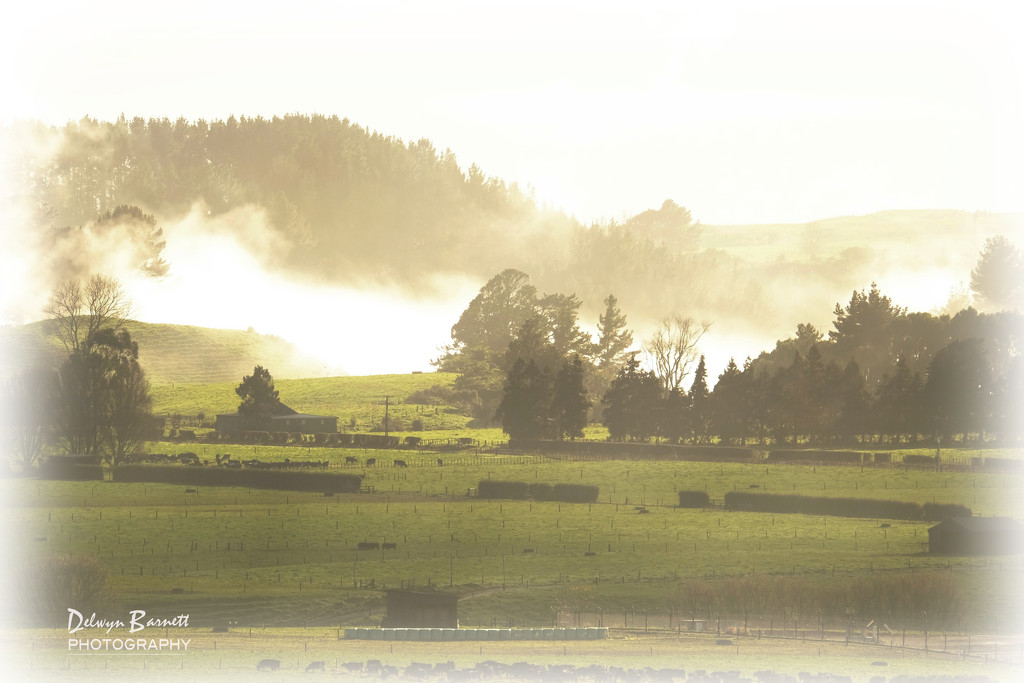 Misty morning by dkbarnett