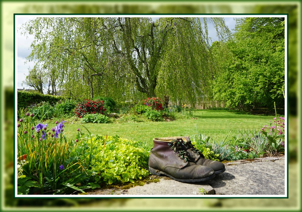 old boots in the garden by sarah19