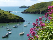 20th May 2017 - The Harbour, Solva 