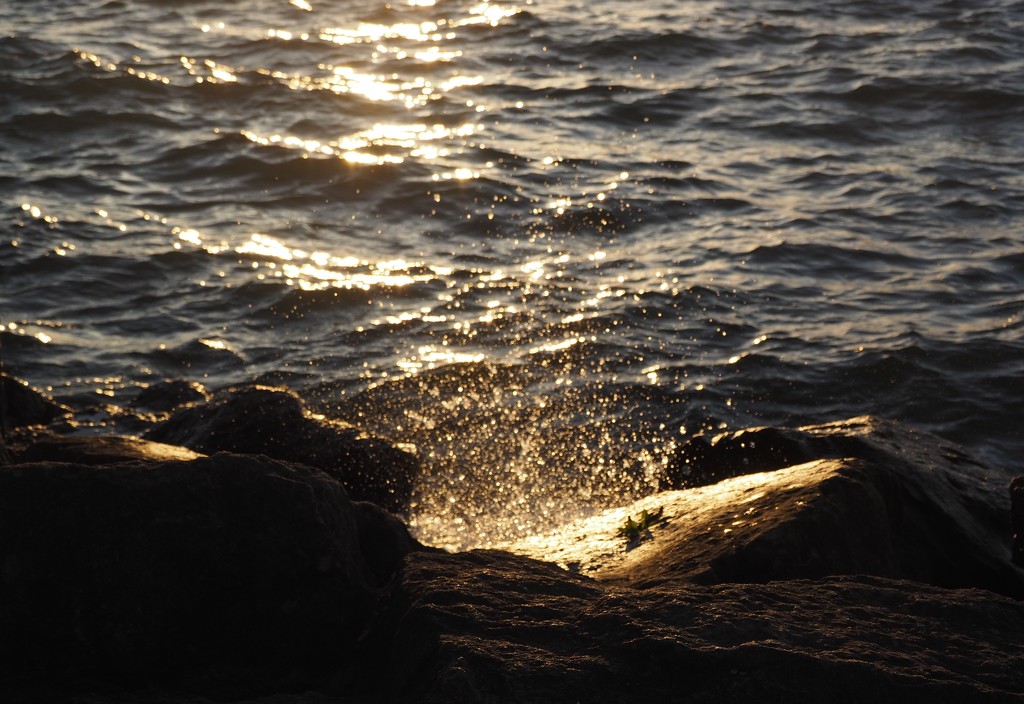 Gold in the Water and Rocks by selkie