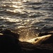 Gold in the Water and Rocks by selkie