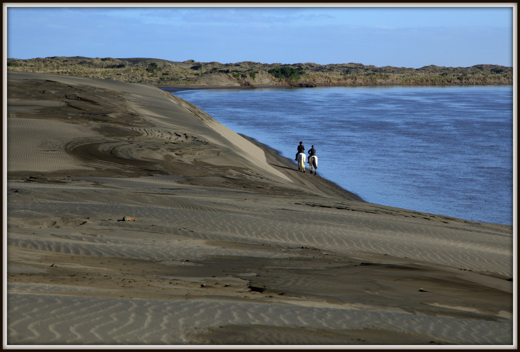 Port Waikato dunes by dide