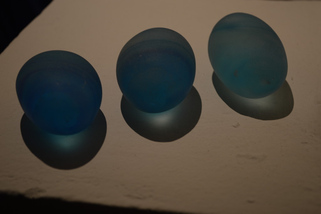 three blue eggs by caterina