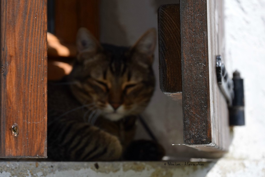 behind the shutters by parisouailleurs