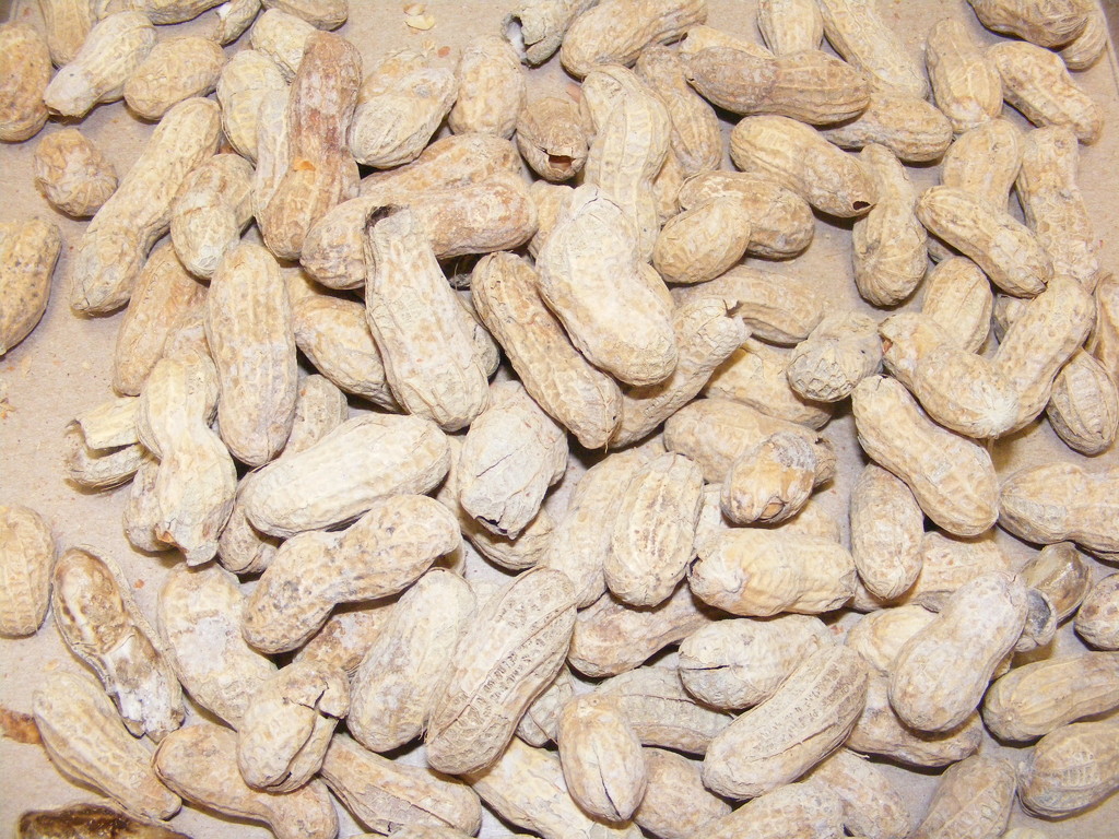 Peanuts by sfeldphotos