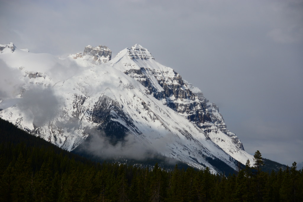 Snow on the Canadian Rockies in Alberta by jayberg