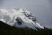 25th May 2017 - Snow on the Canadian Rockies in Alberta