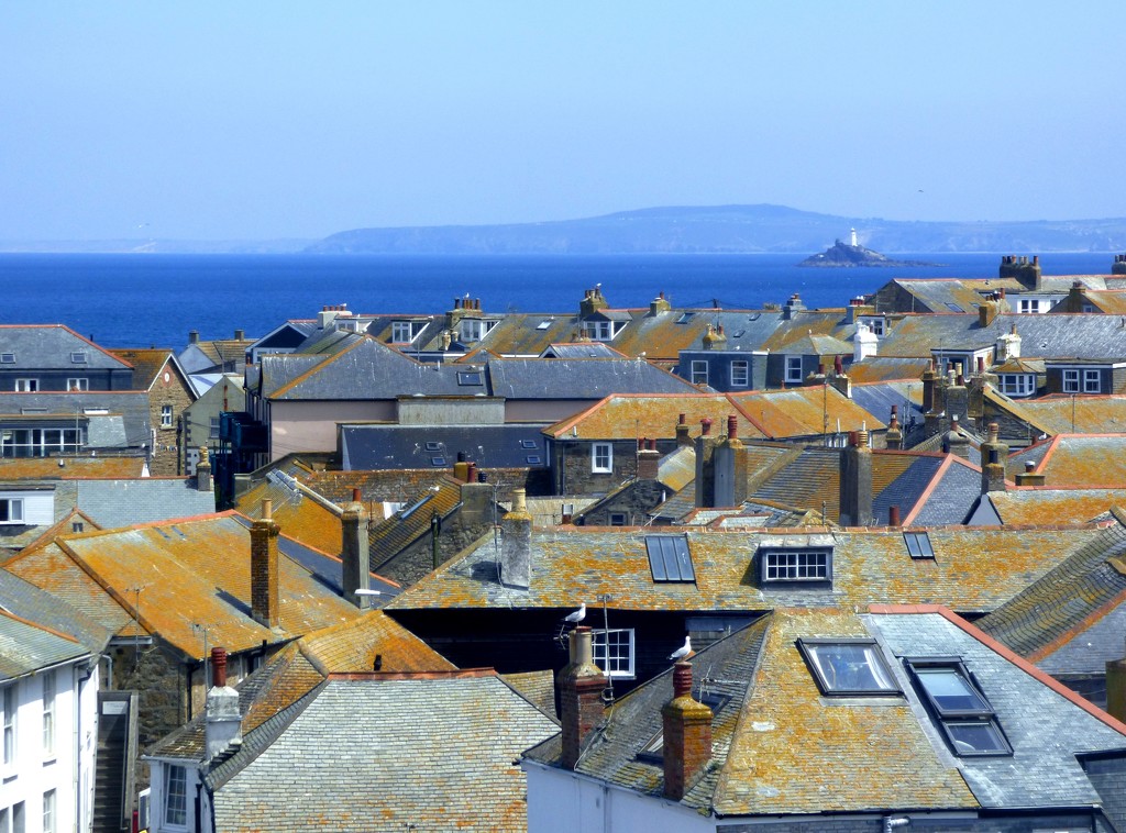 Over the rooftops to Godrevy by julienne1