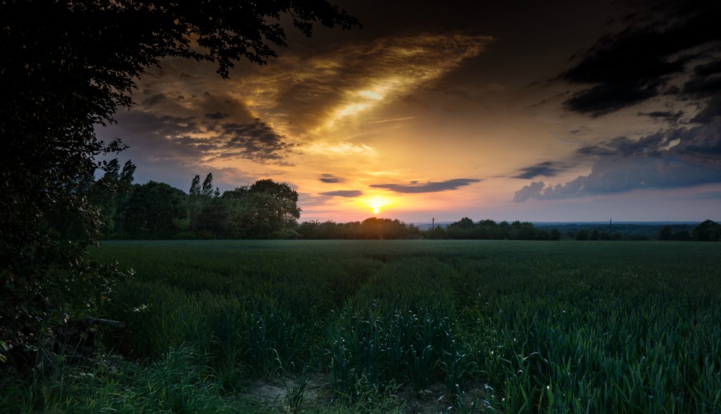 PLAY May Sony 16mm f/2.8: Day's End by vignouse