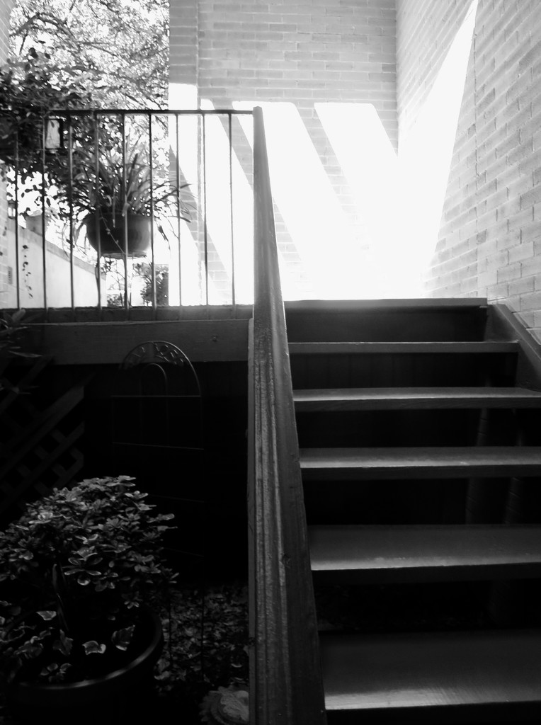 Catherine's stairs in B&W by louannwarren