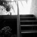 Catherine's stairs in B&W by louannwarren