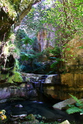 27th May 2017 - Moss Garden 2 - Carnarvon Gorge