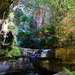 Moss Garden 2 - Carnarvon Gorge by terryliv