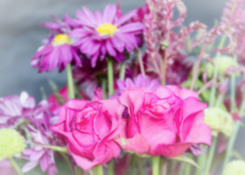 Pink Flowers by salza
