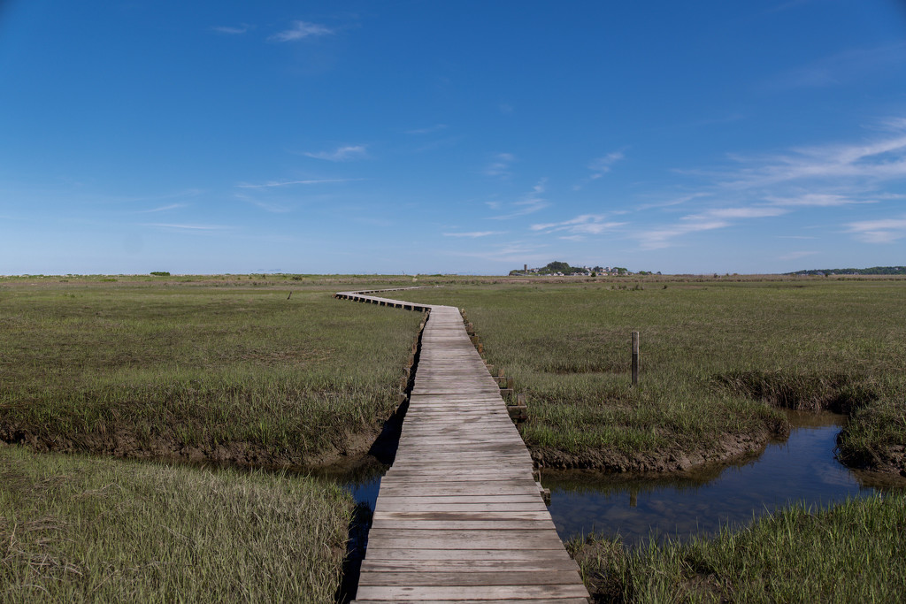 Boardwalk to the shore, Third Cliff, Scituate MA. by berelaxed
