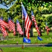 Parade of Flags at the Cemetery by joysfocus