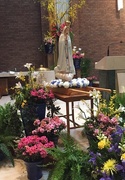 26th May 2017 - our lady of peace