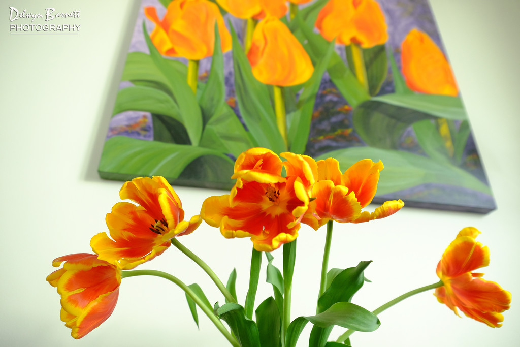 Orange and yellow tulips by dkbarnett