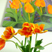 Orange and yellow tulips by dkbarnett