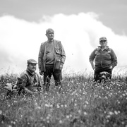 27th May 2017 - Last of the summer wine