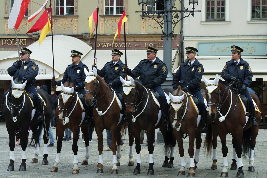 Day of the Polish Flag (May 2) III by toinette