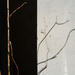 Branch & shadow by m2016