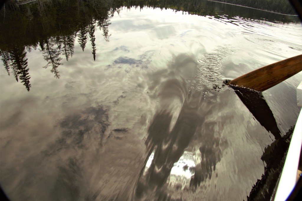 Paddle and Reflections  by radiogirl