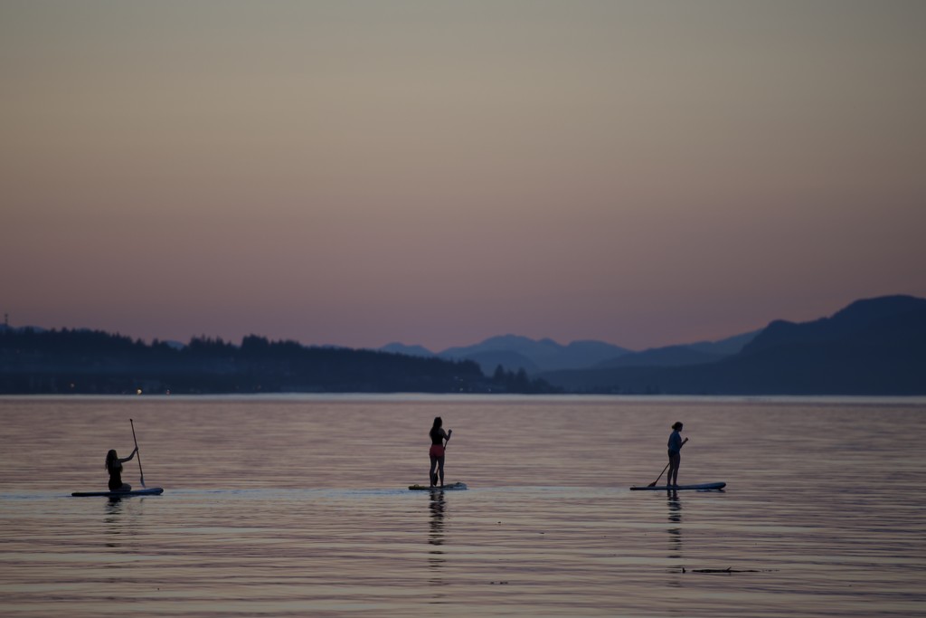 Evening Paddlers by kwind