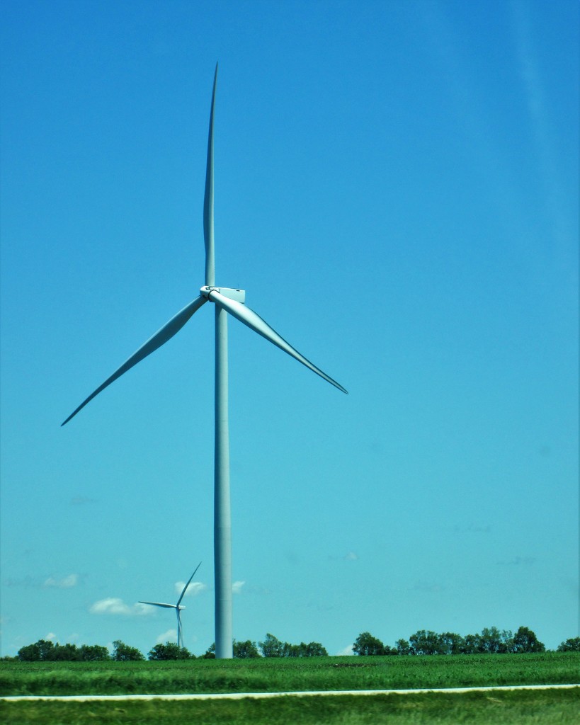 Wind Farm by daisymiller