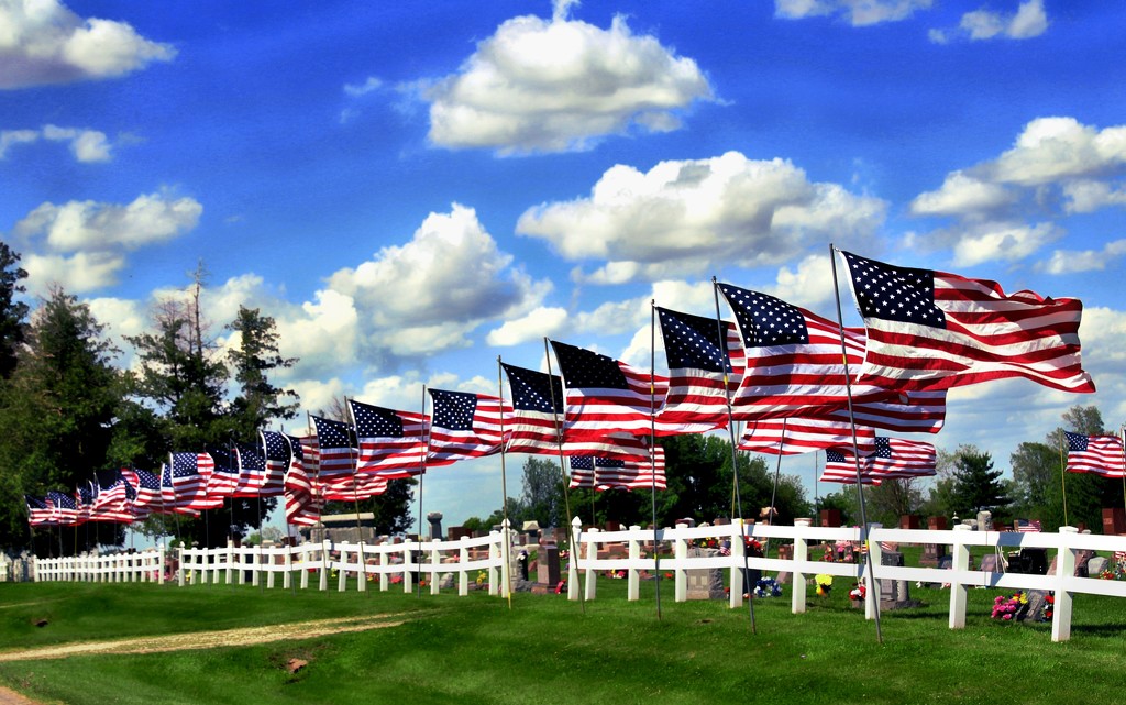 Memorial Day USA by lynnz