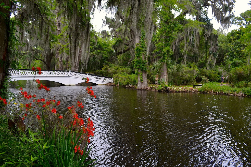 Long White Bridge and azaleas, Magnolia Gardens, Charleston, SC by congaree