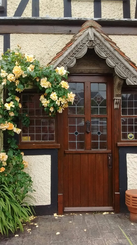 Rose Framed Door by fbailey