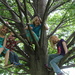 Four G'kids In A Tree by bjchipman