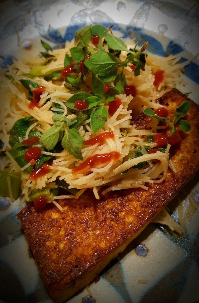 Pan-Grilled Tofu with Rice Noodles by darylo