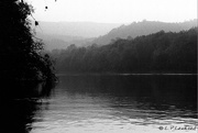 31st May 2017 - Early Morning - Upper Potomac River